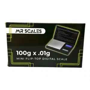 MR SCALES 100G MINI FLIP-TOP DIGITAL SCALE