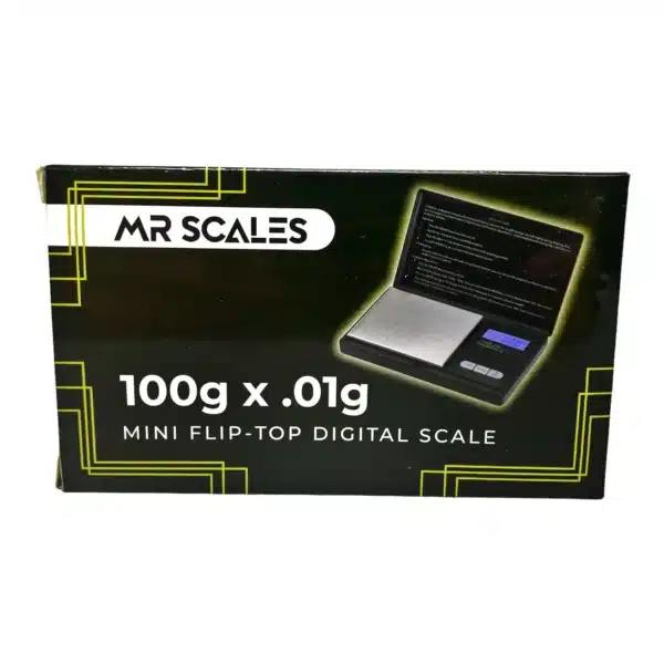 MR SCALES 100G MINI FLIP-TOP DIGITAL SCALE